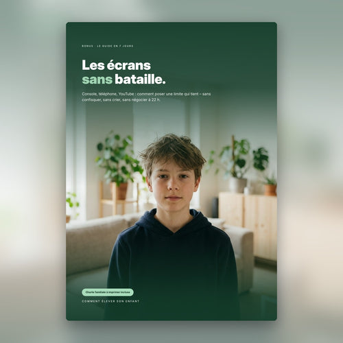 E-book « Les écrans sans bataille »